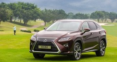 Cwin50 link tải ứng dụng Lexus RX350 cũ (05/2026)