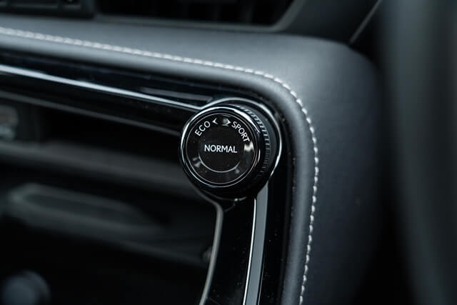 Lexus-NX-250-che-do-lai