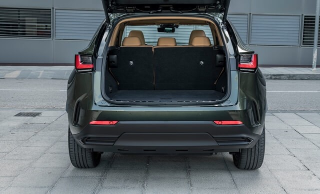Lexus-NX350h-cop-xe