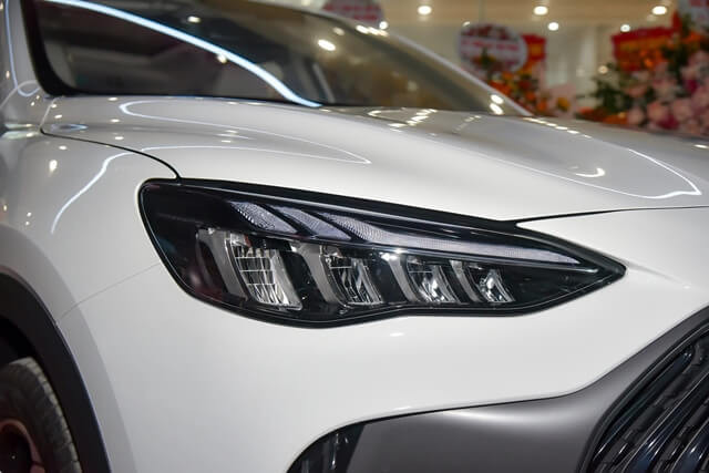 MG-HS-den-pha