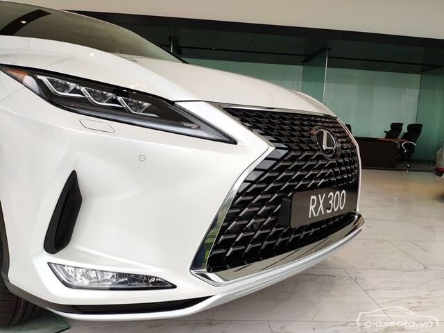 calang-truoc-xe-lexus-rx300