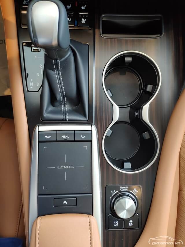 can-so-xe-lexus-rx300
