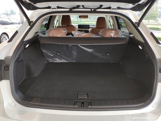 cop-sau-xe-Lexus-RX300
