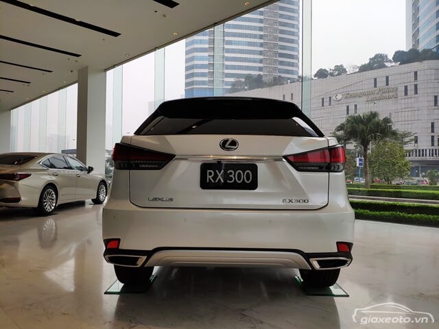 duoi-xe-lexus-rx300