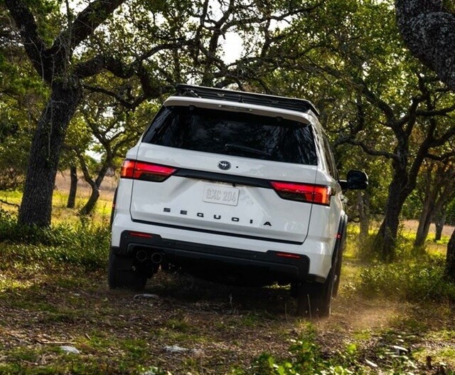 duoi-xe-toyota-sequoia