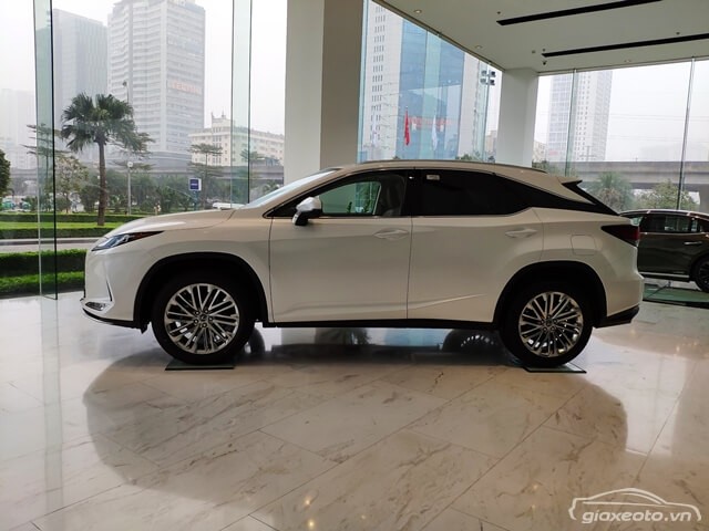 ngoai-that-Lexus-RX300