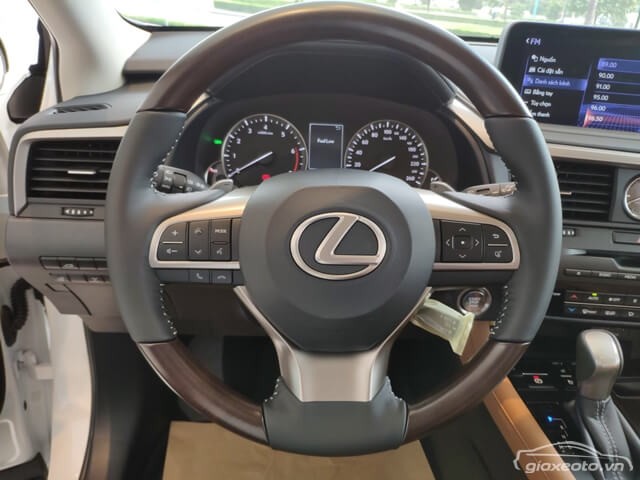 vo-lang-xe-lexus-rx300