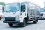 Cwin9000 cá cược trực tuyến TẢI ISUZU 2026 MỚI NHẤT (05/2026)