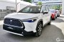 Cwin9000 cá cược trực tuyến Ô TÔ HYBRID 2026 MỚI NHẤT